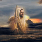 Evangelio 18 de Julio 2021